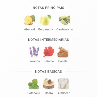 Notas aromáticas divididas em principais, intermediárias e básicas com fotos e nomes dos ingredientes