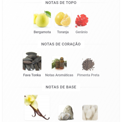 Quadro de notas aromáticas para perfume com imagens de bergamota, toranja, gerânio, fava tonka, pimenta preta, baunilha, âmbar cinzento e almíscar.