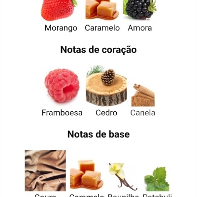 Notas de perfume divididas em topo, coração e base com imagens correspondentes