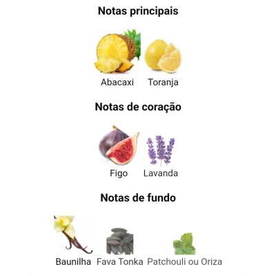 Notas olfativas organizadas em três categorias com imagens de abacaxi, toranja, figo, lavanda, baunilha, fava tonka e folhas para patchouli ou oriza.