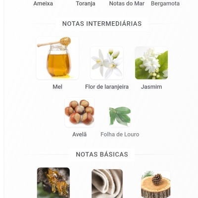 Notas principais, intermediárias e básicas de fragrâncias com imagens ilustrativas para cada nota.