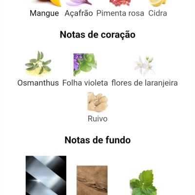Notas principais, de coração e de fundo de perfume com imagens de ingredientes naturais