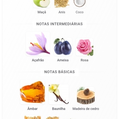 Notas olfativas principais, intermediárias e básicas com imagens de ingredientes correspondentes