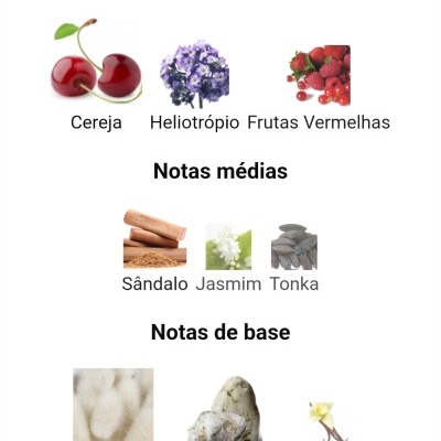 Notas olfativas para perfume com frutas e flores em português.