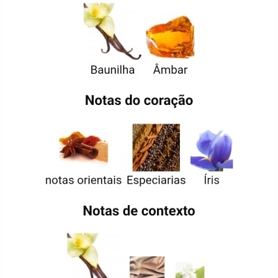 Guia olfativo de perfume com imagens e texto das notas principais, do coração e de contexto em português.
