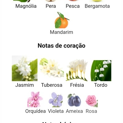 Notas olfativas com imagens de flores, frutos e especiarias organizadas em três categorias