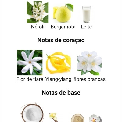 Ingredientes de fragrância divididos em notas de topo, coração e base com imagens de plantas, frutas, flores e outras substâncias.