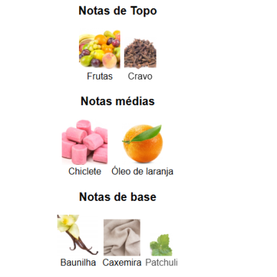 Notas olfativas de um perfume com imagens e textos em português