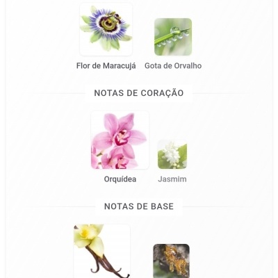 Notas olfativas com imagens de Flor de Maracujá, Gota de Orvalho, Orquídea, Jasmim, Baunilha e Madeira de Âmbar