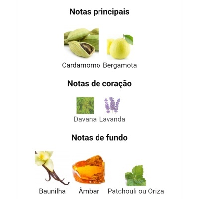 Notas olfativas principais, de coração e de fundo com fotos de ingredientes naturais