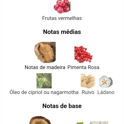 Notas olfativas de um perfume com imagens e texto em português.