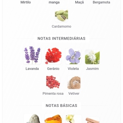 Notas de fragrâncias principais, intermediárias e básicas apresentadas com fotos de ingredientes naturais