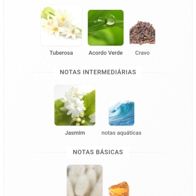 Notas principais, intermediárias e básicas de perfume com imagens de flores, gotas de orvalho, cravos, onda e âmbar.