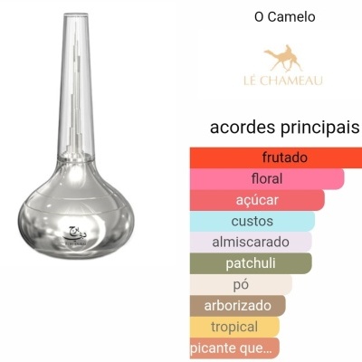 Frasco de vidro transparente com design alongado e tabela de acordes principais de fragrância