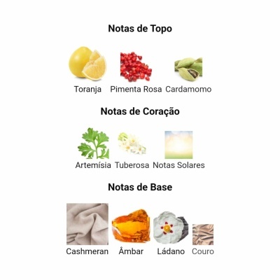 Notas olfativas de perfume organizadas em topo, coração e base com imagens pequenas dos ingredientes.