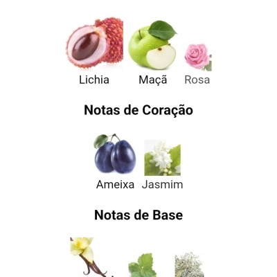 Notas aromáticas de topo, coração e base com imagens de frutas e flores.