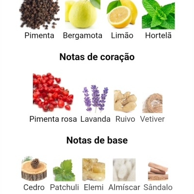 Notas olfativas de perfume divididas em topo, coração e base com imagens de ingredientes.