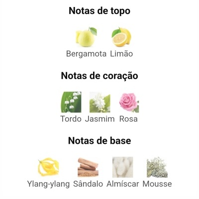 Notas olfativas compostas por bergamota, limão, tordo, jasmim, rosa, ylang-ylang, sândalo, almíscar e mousse