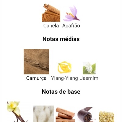 Notas de topo Canela Açafrão, Notas médias Camurça Ylang-Ylang Jasmim, Notas de base Baunilha Almíscar Sândalo Tabaco Olíbano