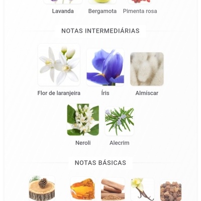 Notas principais, intermédias e básicas de fragrâncias com imagens ilustrativas