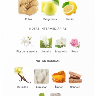 Notas olfativas com fotos de ingredientes naturais para perfume.