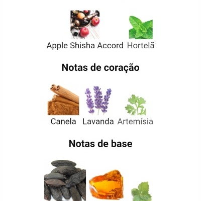 Fotos de ingredientes naturais para notas aromáticas: hortelã, canela, lavanda, artemísia, fava tonka, âmbar e patchuli