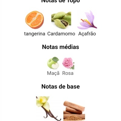 Notas olfativas de perfume em texto com imagens de tangerina, cardamomo, açafrão, maçã, rosa, baunilha e sândalo.