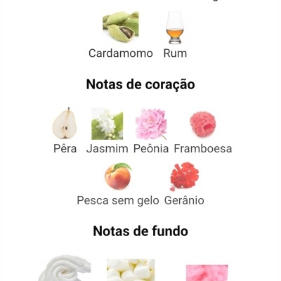 Notas aromáticas principais, de coração e de fundo descritas com imagens e texto