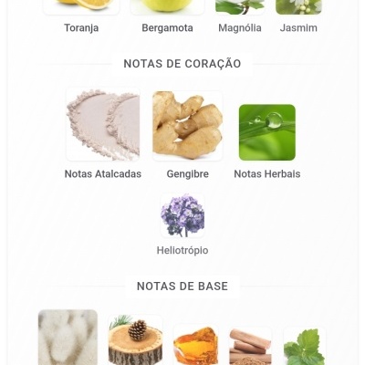 Imagens de ingredientes para perfumes organizados em notas de topo, coração e base