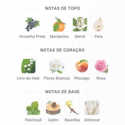 Quadro com notas de topo, coração e base de perfume com imagens ilustrativas