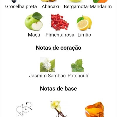 Notas olfativas de perfume divididas em topo, coração e base com imagens correspondentes