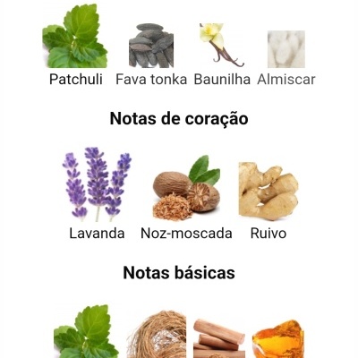 Notas de perfume ilustradas com imagens de plantas e especiarias em três categorias