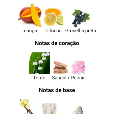 Notas olfativas divididas em topo, coração e base com imagens e texto