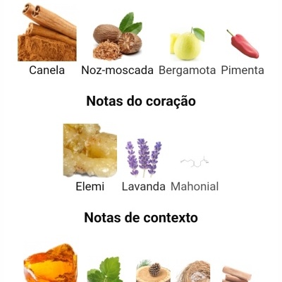Notas aromáticas de perfume com imagens de especiarias, flores e madeiras.