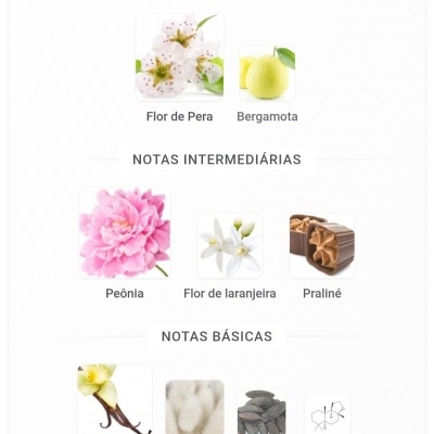 Notas olfativas de perfume divididas em principais, intermediárias e básicas com imagens e nomes associados.