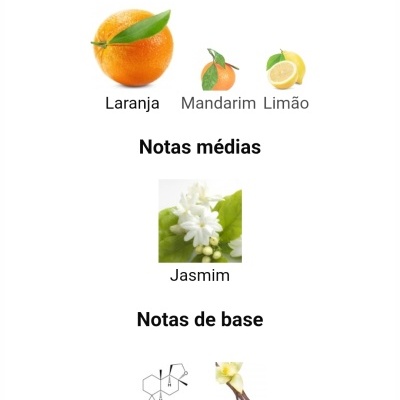 Notas olfativas do perfume com imagens de laranja, mandarina, limão, jasmim, fórmula química de Ambroxan e baunilha.