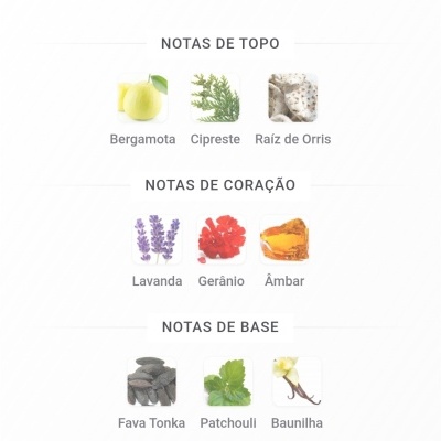 Notas de Topo, Notas de Coração e Notas de Base com imagens de ingredientes para fragrâncias
