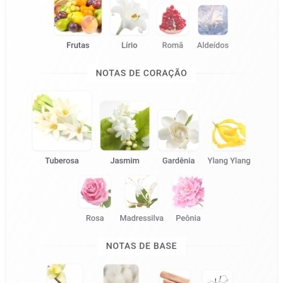 Diagrama de notas olfativas com imagens de frutas, flores e ingredientes e textos em português