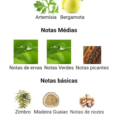 Notas olfativas principais, médias e básicas com imagens de plantas e especiarias