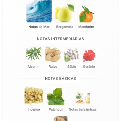 Notas principais: Mar, bergamota, mandarina; notas intermédias: alecrim, ruivo, sábio, gerânio; notas básicas: incenso, patchouli, notas balsâmicas, notas da floresta.