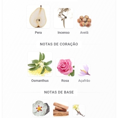 Notas olfativas de um produto com imagens de Pera, Incenso, Avelã, Osmanthus, Rosa, Açafrão, Ládano, Sândalo e Baunilha.