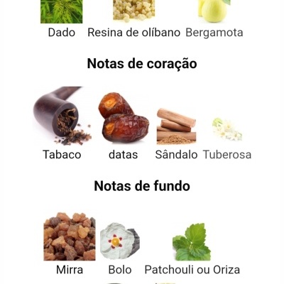 Categorias de notas olfativas com imagens e texto em português.