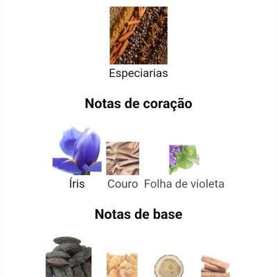 Descrição de notas olfativas com imagens de especiarias, flores e madeiras