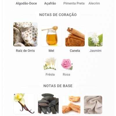 Notas de fragrância com imagens e nomes de ingredientes para perfume.