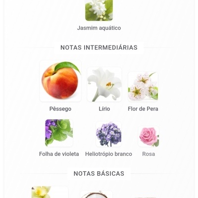 Notas principais, intermediárias e básicas de fragrância com imagens de ingredientes naturais e texto em português.