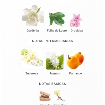 Notas de fragrância com imagens de flores, folhas, fruta e especiarias e respetivos nomes em português.