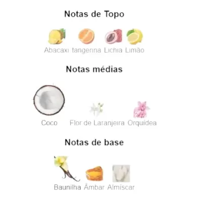 Notas de fragrância divididas em notas de topo, médias e de base com ícones de frutas e flores.