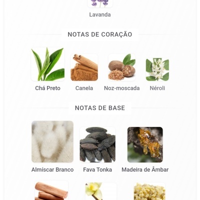 Imagem de ingredientes naturais divididos em notas de topo, coração e base para perfumes ou aromatizantes