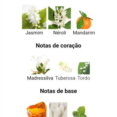 Notas de topo, coração e base com imagens correspondentes de flores, fruto e elementos naturais