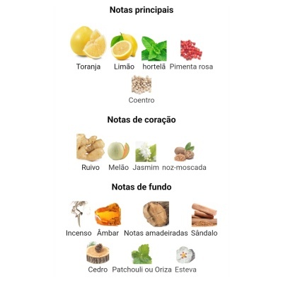 Notas aromáticas principais, de coração e de fundo descritas em português com imagens correspondentes de ingredientes.
